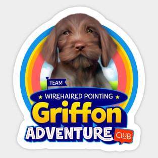 Wirehaired Pointer Griffon Sticker